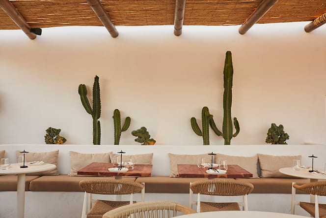 Tribü - Brunch & Bistro - 8