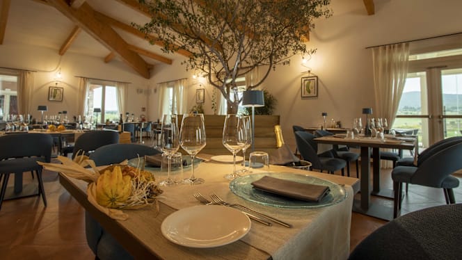 Paspalum By Riva Toscana - Follonica - 8