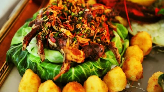 Tiger Lily of Osterley - 2