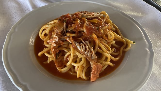 Splendor - Arpino - 3