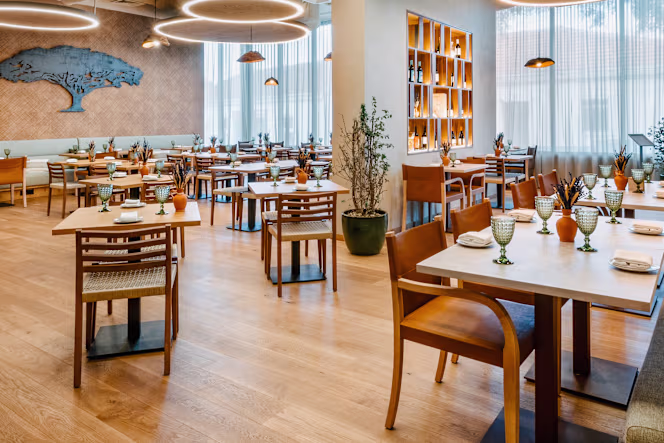 Chaparro Alentejano - Beja - 0