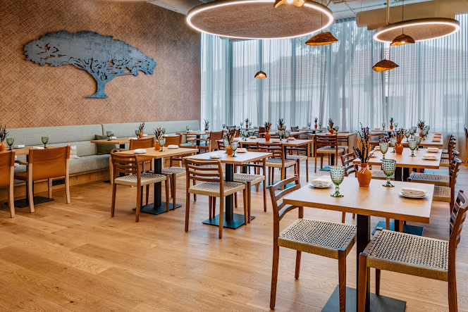 Chaparro Alentejano - Beja - 9