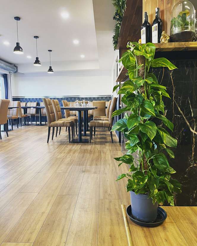 Restaurant Indien Madrasi - 1