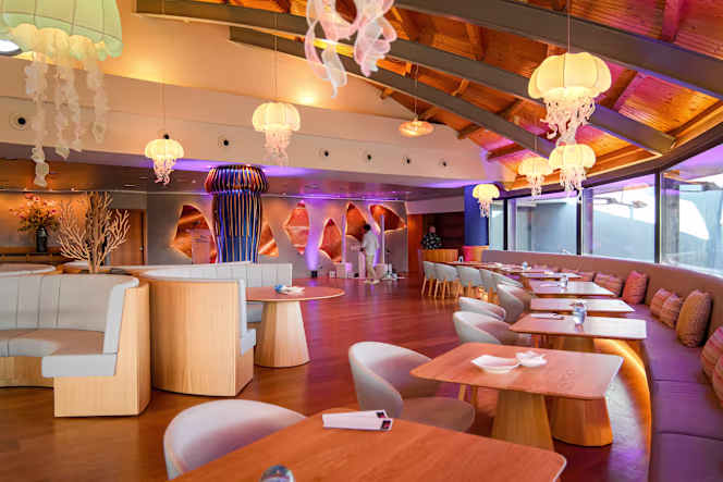 Jellyfish Rest&Bar by Palma Aquarium - 0
