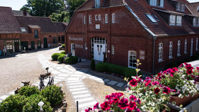 Restaurant Vitus - 8