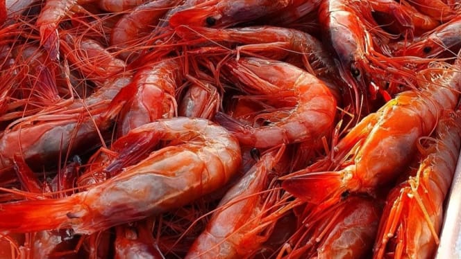 VALERIO ( RISTORANTE DI PESCE) - Roma - 4