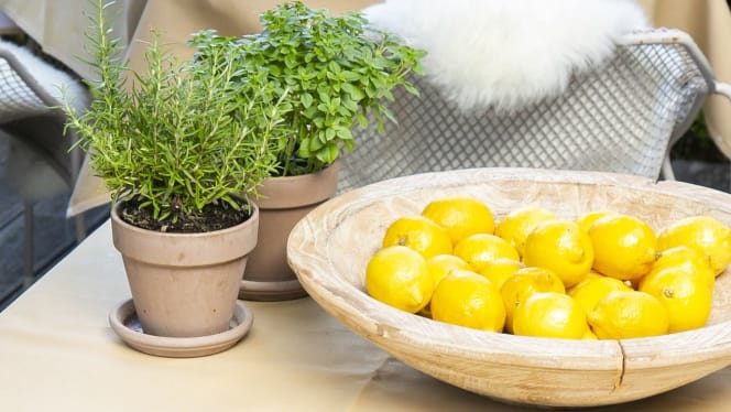 Hedwigs Restaurant - 7