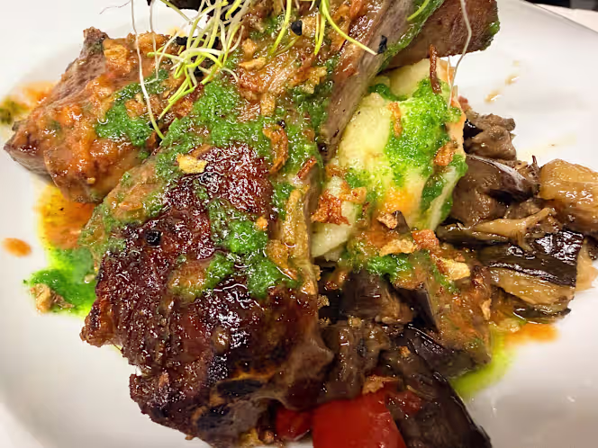 a l'ombre du pin - 1