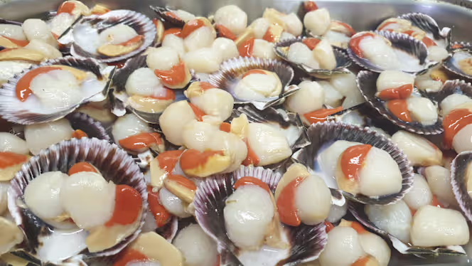 La Casita de Jose - 1