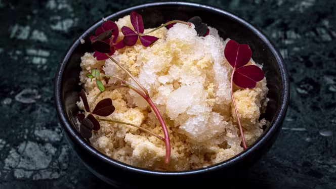 Rollin bistros backyard - 7