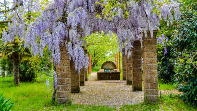 Agriturismo Valentini - 6