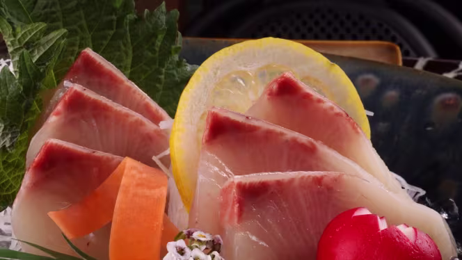 Coral A Sushi Concept - Mirage - 4