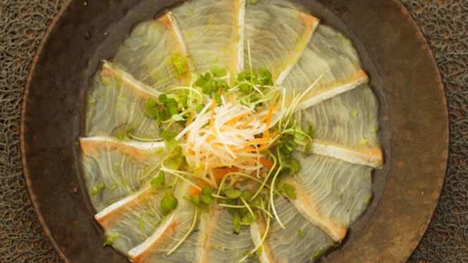 Coral A Sushi Concept - Mirage - 1