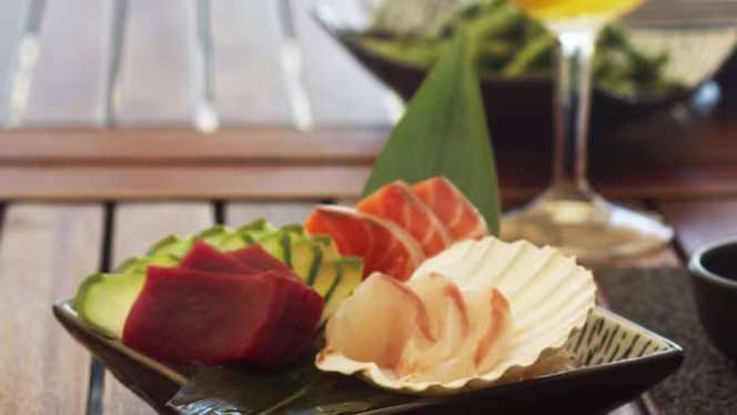 Coral A Sushi Concept - Mirage - 0