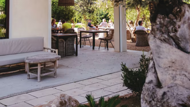 Can Arabí Ibiza - 8