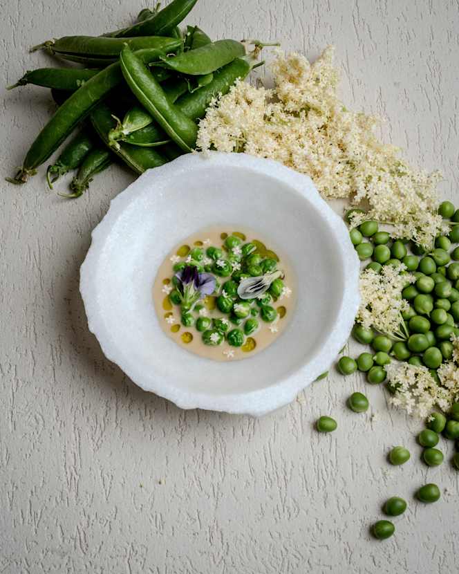 Pipilacha - 9