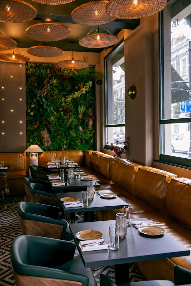 Yogi's Kensington - 9
