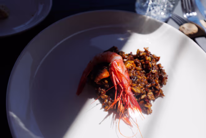 Tarraco - Hotel Mas d'en Bruno - 9