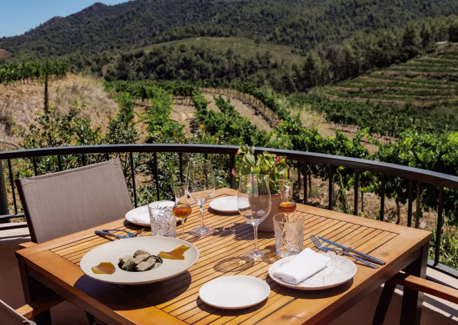 Tarraco - Hotel Mas d'en Bruno - 2