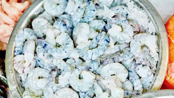 Der Fischladen - Arminius-Markthalle - 1