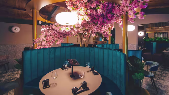 Goki Sushi experience Bufalotta - 2