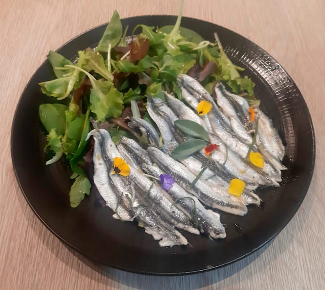 Il Maestro e l'Allievo - 4