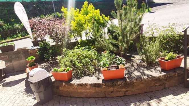 Trattoria Il Pinolo - 2