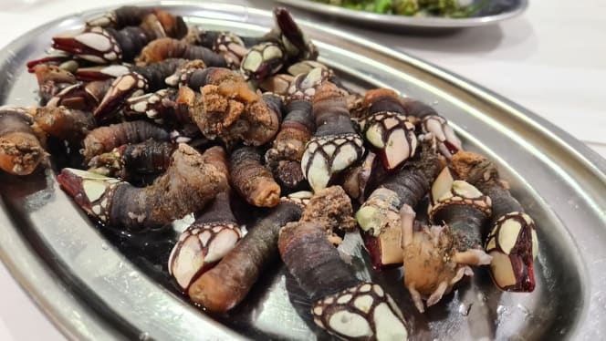 A Estrela Galega - 0