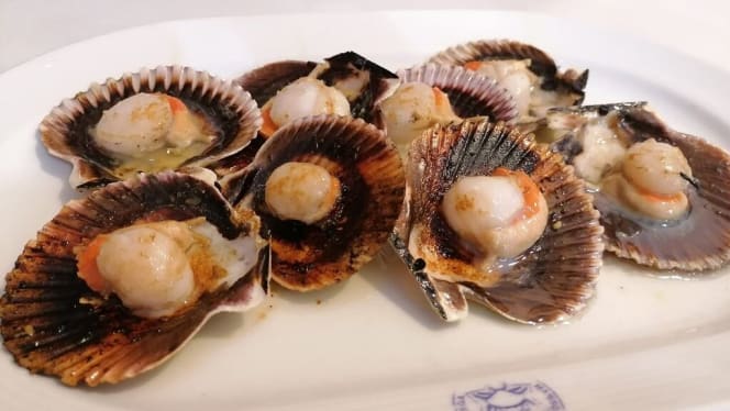 A Estrela Galega - 2