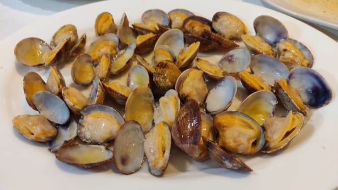 A Estrela Galega - 5