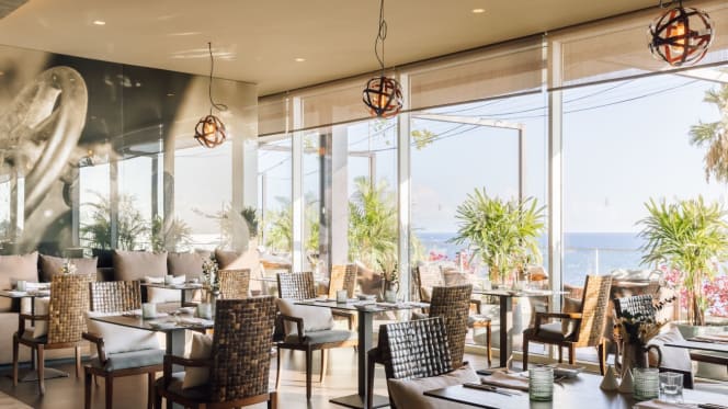 Alambique | Saccharum - 2