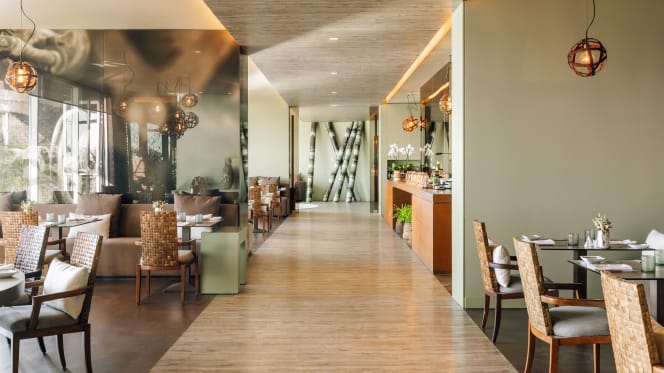 Alambique | Saccharum - 5