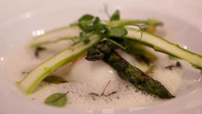 Le Chien Jaune - Tours - 1