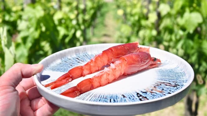 Castellaro Bistrot - Winery & Resort - 5