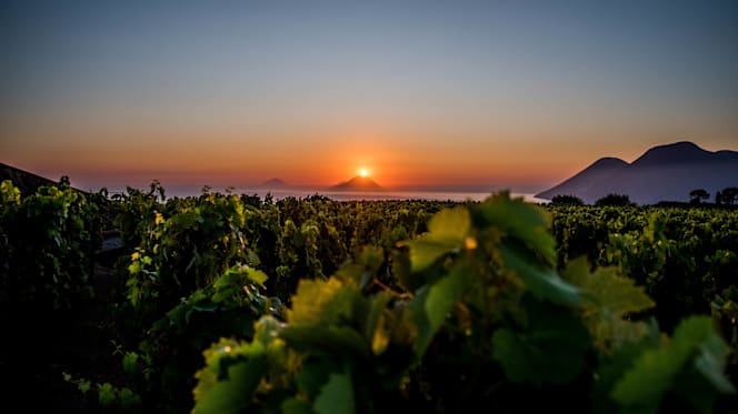 Castellaro Bistrot - Winery & Resort - 7