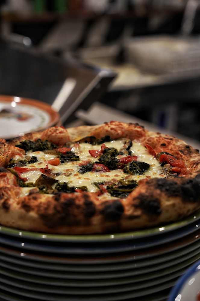 Salento Marleigh - 8