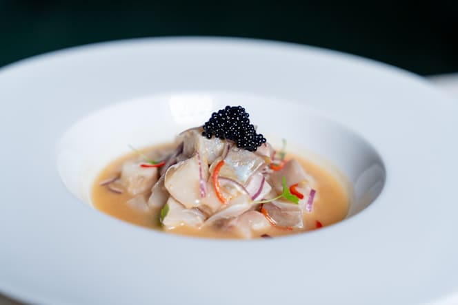 Oboé by Lu Marinho - 3