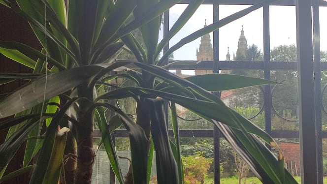 El Rincón  de Yobeida - 8