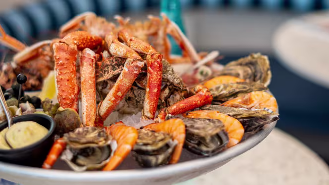 Plouf Cancale - Cancale - 0