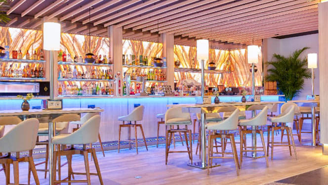 Bribone - Meliá Alicante - 4