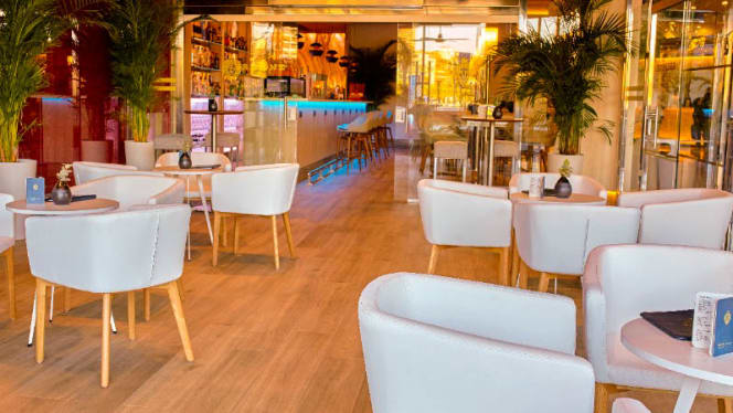 Bribone - Meliá Alicante - 3