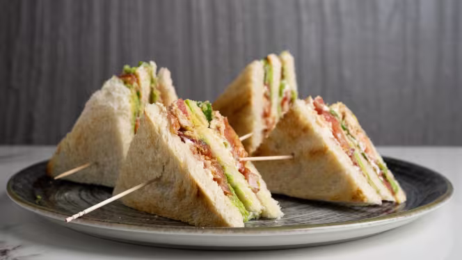 Teddy's Lab - Roma - 6