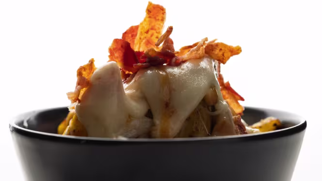 Teddy's Lab - Roma - 0