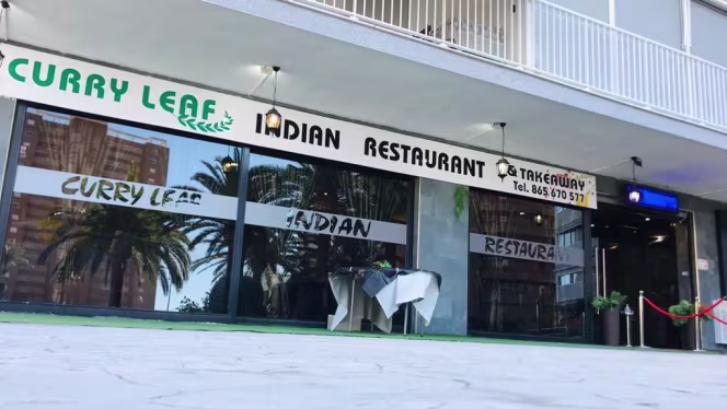 Curry leaf - Benidorm - 0