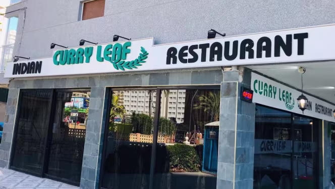 Curry leaf - Benidorm - 6