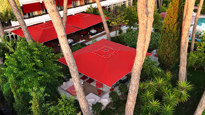 Lumarea Bistrot & Bar - 0