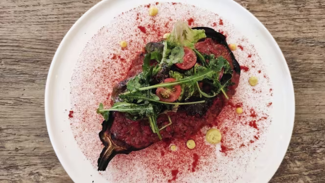 Zoco Arabic New Concept - 5