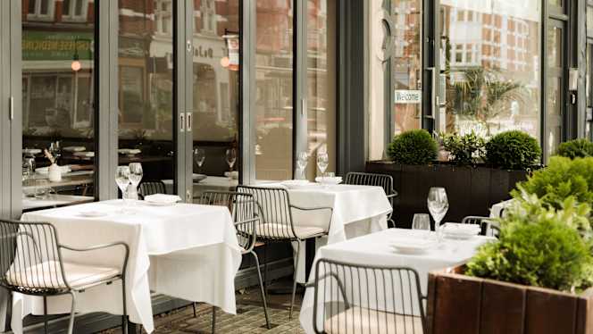 The Silver Birch - 2