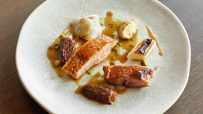 The Silver Birch - 8