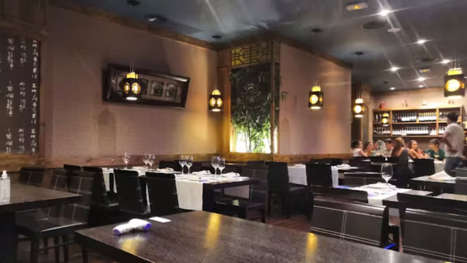 Nuevo  Samurai Conde ALTEA - 5